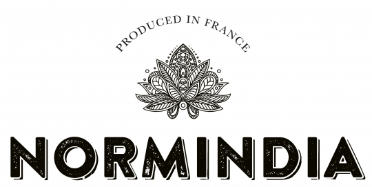 Normindia LOGO