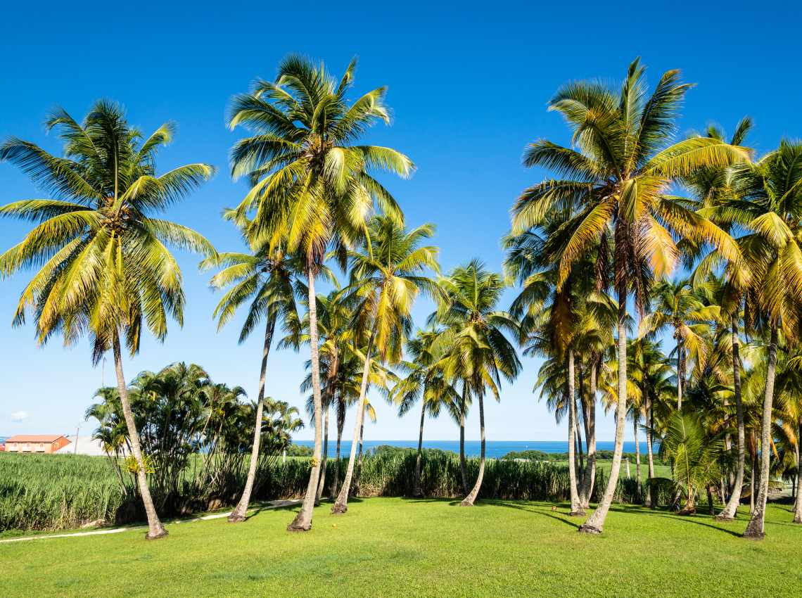 shutterstock_574966216