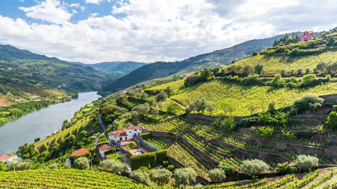 Vineyards and Landscape of the Douro river region in Portugal